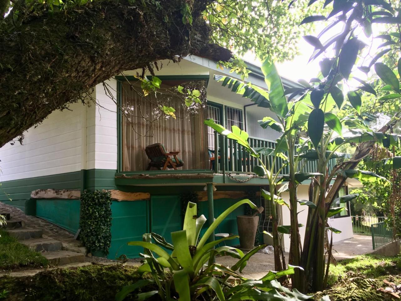 Paris Confort B&B Monteverde Ngoại thất bức ảnh