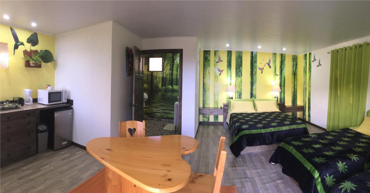 Paris Confort B&B Monteverde Ngoại thất bức ảnh
